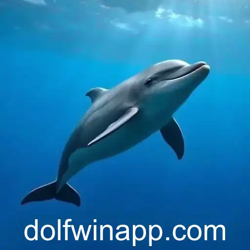 Dolfwin Revolutionizes Online Gaming Experience